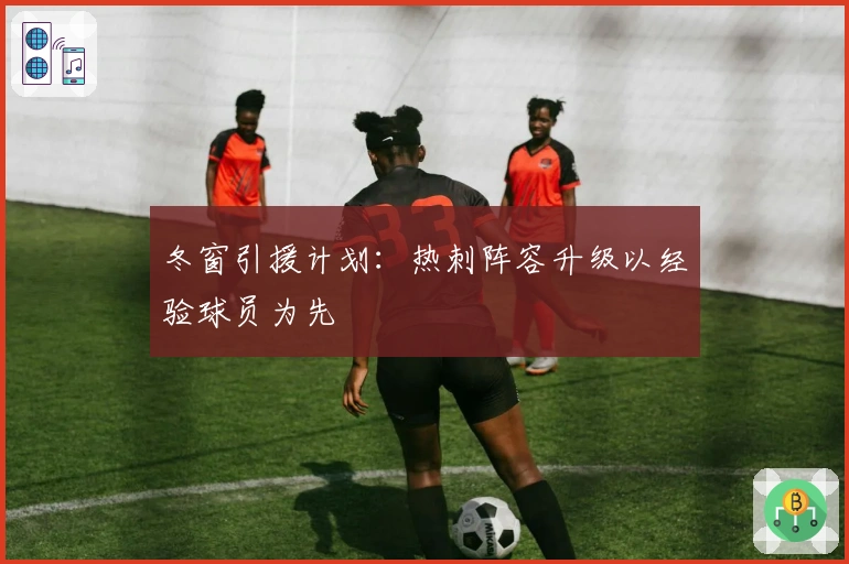 冬窗引援计划：热刺阵容升级以经验球员为先